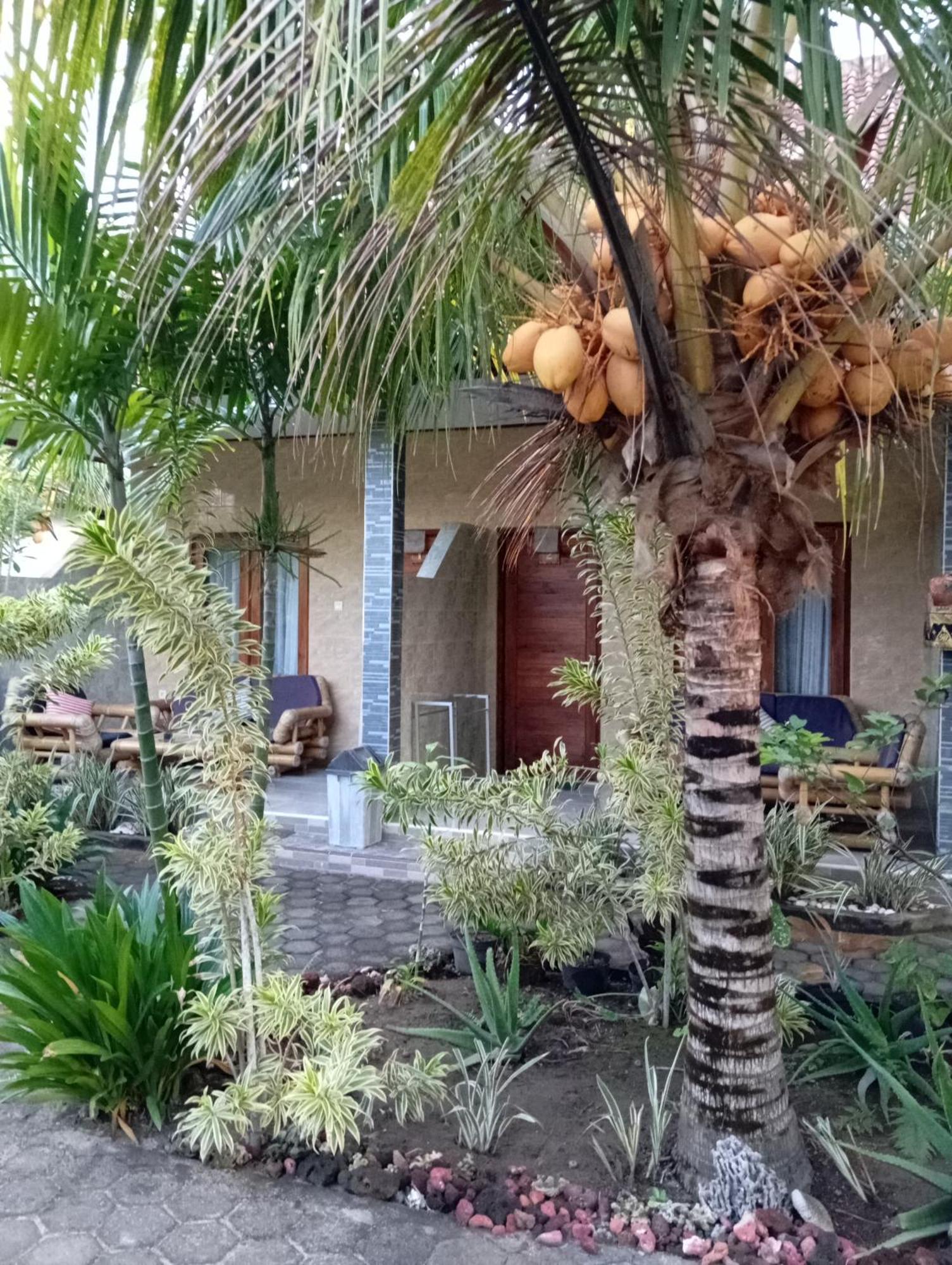 Belong Home Stay Lembongan 누사 렘봉안 객실 사진